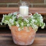 Container Gardening Ideas For Your Home