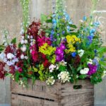 Container Gardening Ideas For Your Home