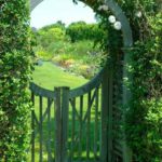 TOP 10 DIY Garden Gates Ideas